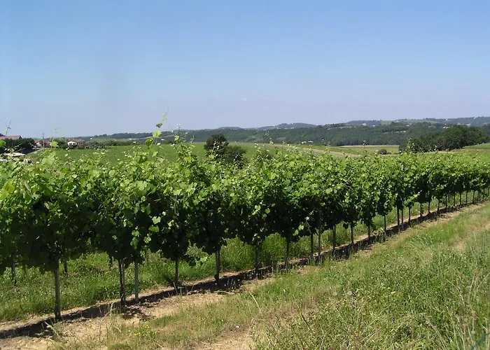 Bed & Breakfast Le Pressoir